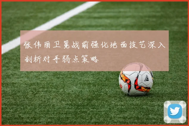 张伟丽卫冕战前强化地面技艺深入剖析对手弱点策略